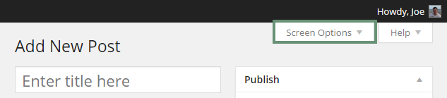 Creating a Post Screen Options Tab 1