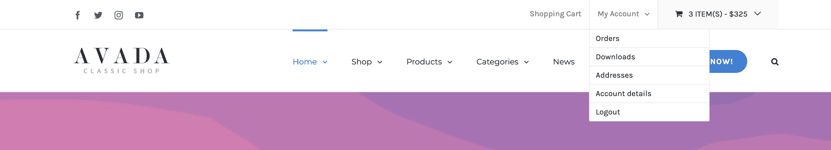 Woo My Account WooCommerce Account