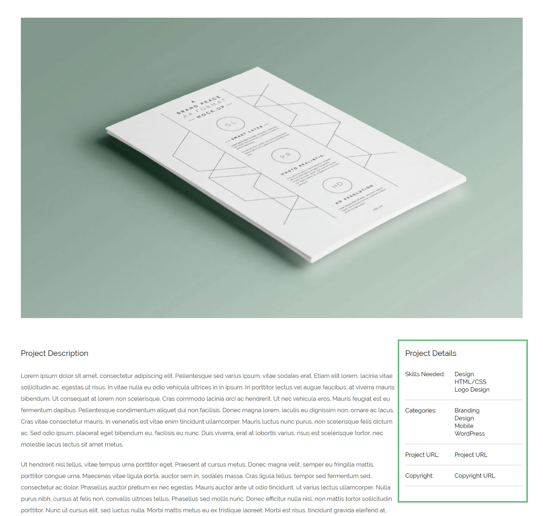Project Details via Theme Options