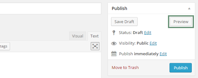 Creating a Post Preview Button