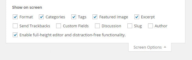 Creating a Post Screen Options