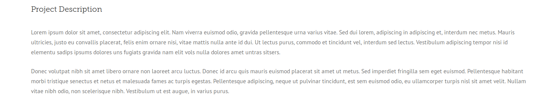 Portfolio Project Description Text